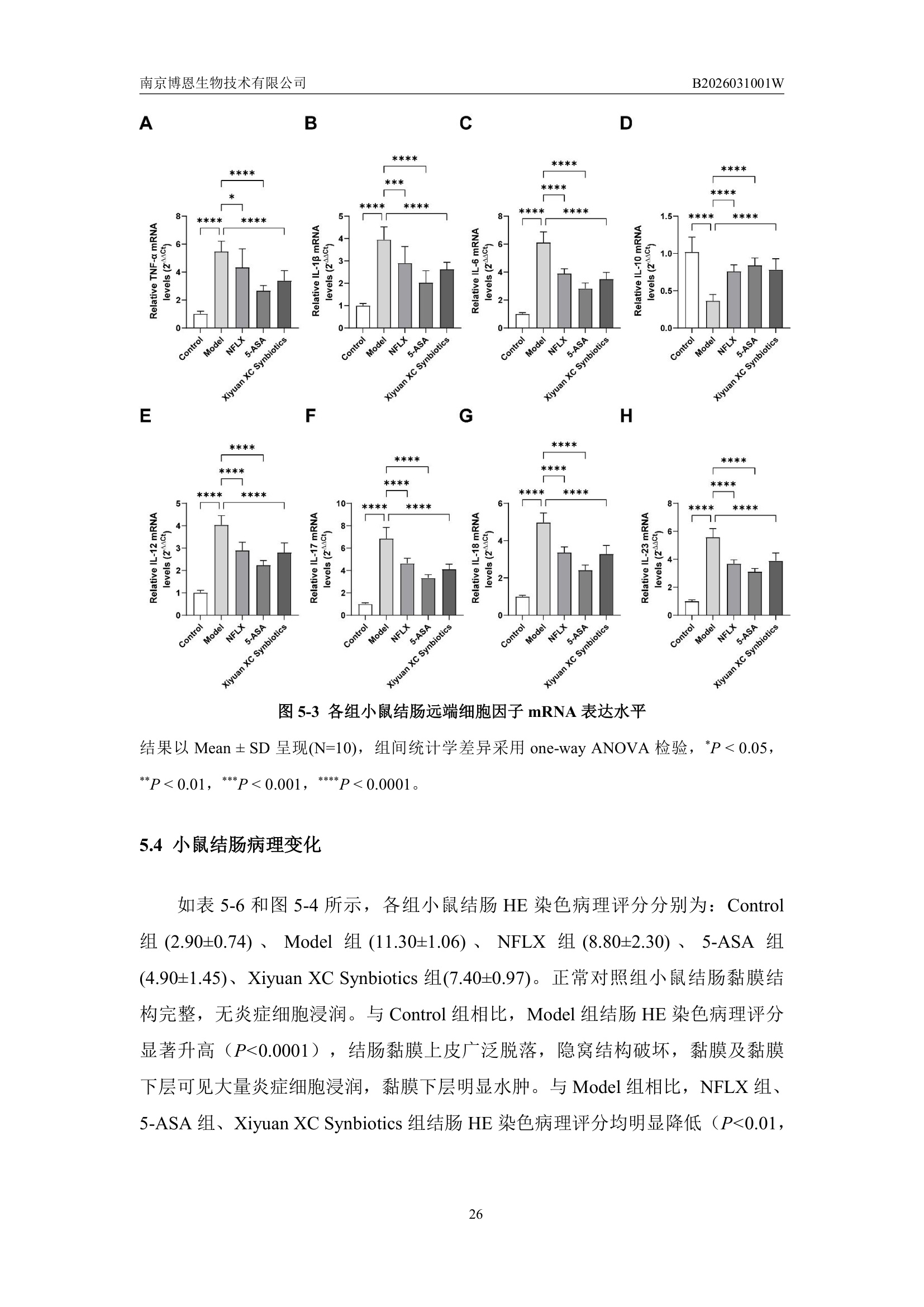 HE染色病理评分